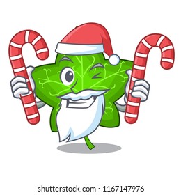 Santa with candy mascot cartoon beautiful ivy leaf plant