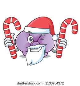 Santa with candy orchid flower mascot cartoon