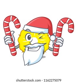 Santa with candy pineapple slice isolated on mascot