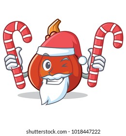 Santa with candy red kuri squash mascot cartoon