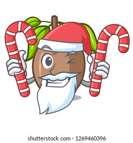 Santa with candy slice sapodilla fruit on shape cartoon