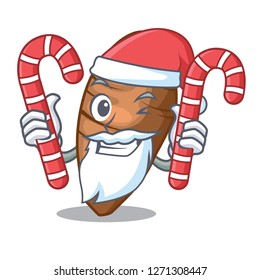 Santa with candy sliced taro on shape cartoon funny