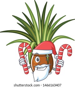 Santa with candy spider plants in the cartoon yard