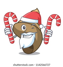 Santa with candy spiral shell mascot cartoon