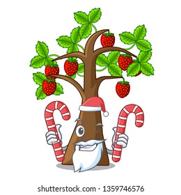 Santa with candy strawberry tree isolated with the cartoon