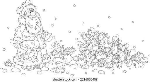 Santa Claus with an axe and a felled fir tree on a snowy forest glade, black and white vector cartoon illustration