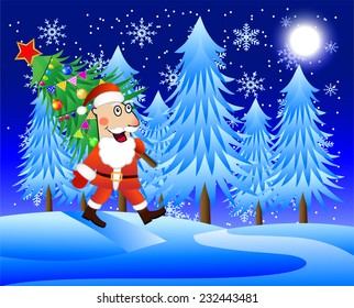 Santa Claus carries the decorated Christmas tree,  vector  illustration