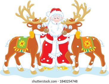 Santa Claus embracing his magic reindeer, vector cartoon illustration isolated on a white background