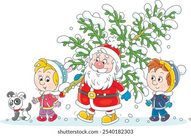 Santa Claus with happy little girl and boy carrying a snowy green fir from a winter forest to decorate it to Christmas, vector cartoon illustration on white