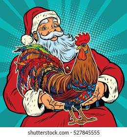 Santa Claus holds in his hands the cock
