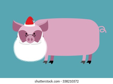 Santa Claus Pig. Farm animal with beard and moustache. Christmas Cap. Funny pork for new year.
