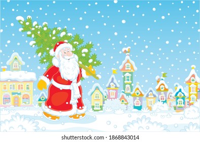 Santa Claus walking down a snowy street of a small pretty town and carrying a prickly fir from a winter forest to decorate it for Christmas and New Year, vector cartoon illustration