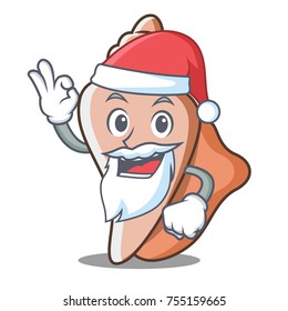 Santa cute shell character cartoon