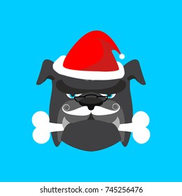 Santa dog and bone. Christmas home pet. Xmas and new year vector illustration