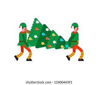 Santa Elf Movers carry Christmas tree. Porters man and Spruce. Loader mover man holding Fir. New Year and Xmas Vector illustration