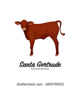 Santa Gertrude Calf - The Best Beef Cattle Breeds. Farm animals. Vector Illustration.