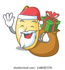 Santa with gift cedar pine nuts isolated on mascot