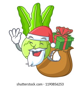 Santa with gift fresh cabbage kohlrabi on the mascot