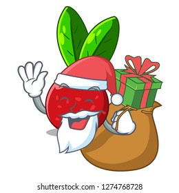 Santa with gift fruit yangmei isolated on the mascot