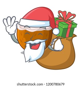 Santa with gift half coconut isolated on the mascot