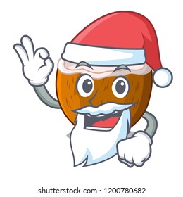 Santa half coconut isolated on the mascot
