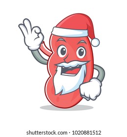 Santa kidney mascot cartoon style