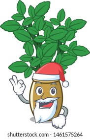 Santa lemon balm next the cartoon house