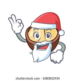 Santa macadamia mascot cartoon style
