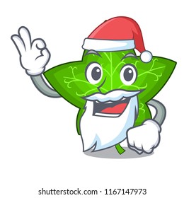 Santa mascot cartoon beautiful ivy leaf plant