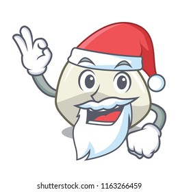 Santa mozzarella cheese isolated on mascot cartoon