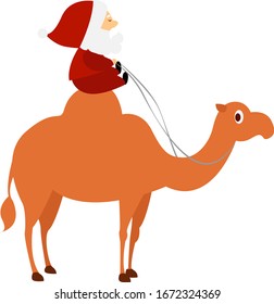 Santa on camel, illustration, vector on white background.