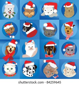SANTA PETS