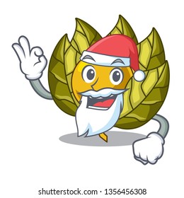 Santa physalis fruit in the cartoon shape