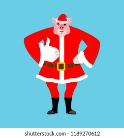 Santa Pig thumbs up well and winks. Sign all right. Merry Christmas piggy. Hand showing ok. Gesture of hand. Good farm animal in red suit. Illustration for new year