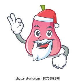Santa rose apple mascot cartoon