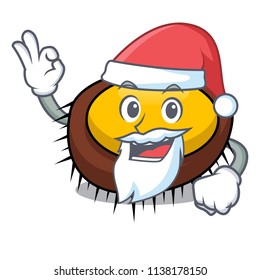 Santa sea urchin mascot cartoon