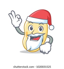 Santa soy bean mascot cartoon