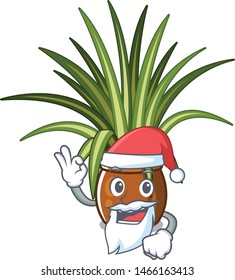 Santa spider plants in the cartoon yard