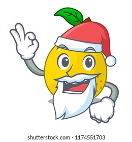 Santa sweet quince isolated on mascot cartoon