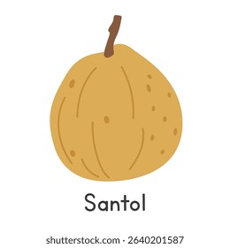 Santol flat vector illustration. Santol cartoon clipart style isolated on white background. Tropical and Exotic fruit concept
