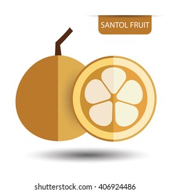 Santol fruit, fruit vector illustration