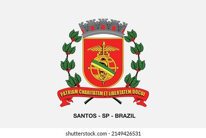 Santos City Brazil Sign Beach Flag red