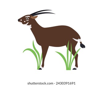 Saola. Animal. Rare. An endangered species. Vector flat illustration isolated