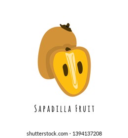 Sapadilla fruit flat vector illustration. Cartoon slices of exotic, tropical fresh fruit. Clipart with typography. Isolated icon for healthy cooking menu, logo design element