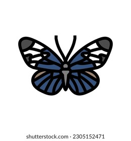 vector de icono de color de insectos longwing sapho. señal de insectos sapho de larga duración. ilustración de símbolo aislado
