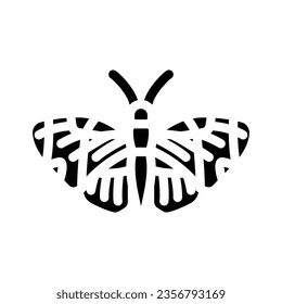 sapho longwing insect glyph icon vector. sapho longwing insect sign. isolated symbol illustration