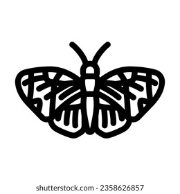 sapho longwing insect line icon vector. sapho longwing insect sign. isolated contour symbol black illustration