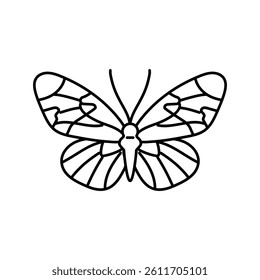 sapho longwing insect line icon vector. sapho longwing insect sign. isolated contour symbol black illustration