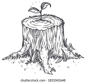 Sapling growing in a felled trunk as hope symbol of reforestation.