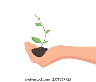 Sapling in hand with earth, the concept of growth, care for nature, isolated on a white background.